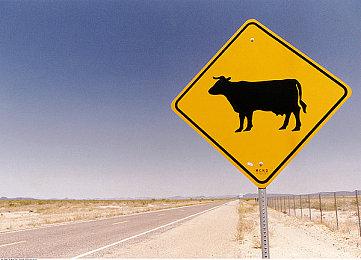 TGS 2021：《刀剑乱舞无双》实机演示首曝